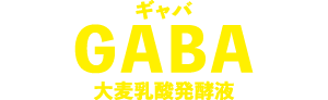 GABA 大麦乳酸発酵液